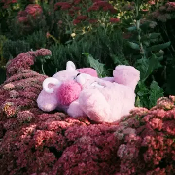 헤븐바이 마크제이콥스 Plushie Love 핑크 데빌 엔젤 인형 토이