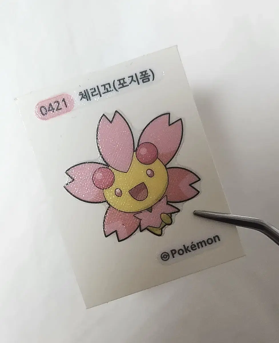 괴수8호 나루미 포켓몬 체리꼬 띠부실