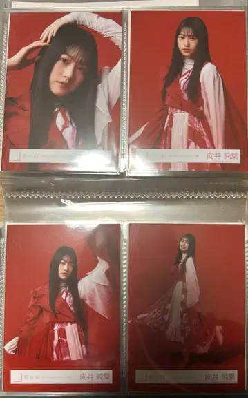 사쿠라자카46 무카이 이토하 3rd 싱글 BACKS LIVE 의상 컴프