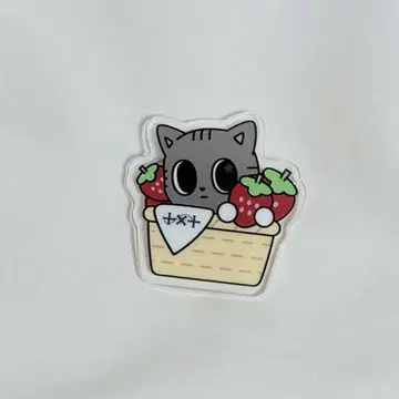 TXT 풀바투 지역 배지 후쿠오카 다고냥 태현