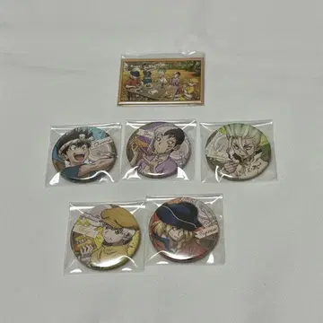 Dr.STONE 소프맵 런치타임 캔뱃지