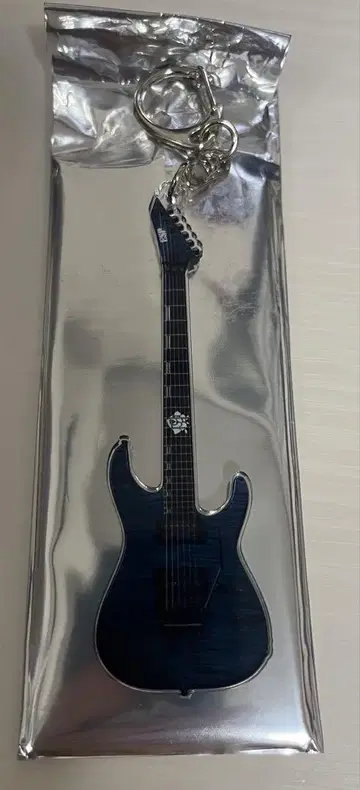 뱅드림 ESP 기타 고유명사 아크릴 키링 컬렉션 히카와 사요