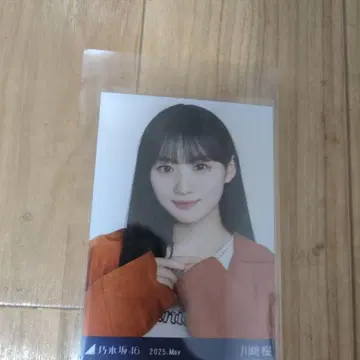 노기자카46 카와사키 사쿠라 브로마이드