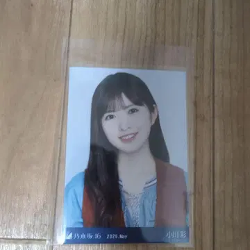 노기자카46 오가와 아야 브로마이드
