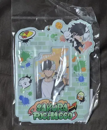 윈브레 산리오 벚꽃 하야