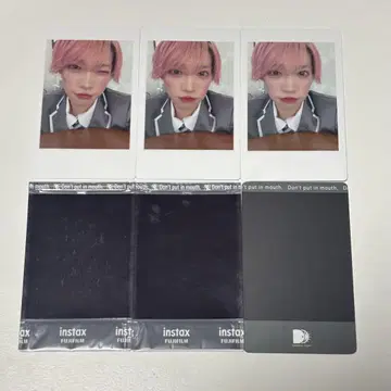 팬더 드래곤 파라곤 타이카 하피카 폴라로이드