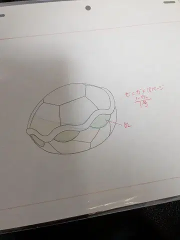 꼬부기(제니카메) 원화 동영상 애니메이션 셀화 포켓몬 애니포켓