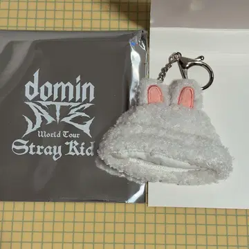 Stray Kids 랜덤 미니 보아 캡 리노 Lee 비트