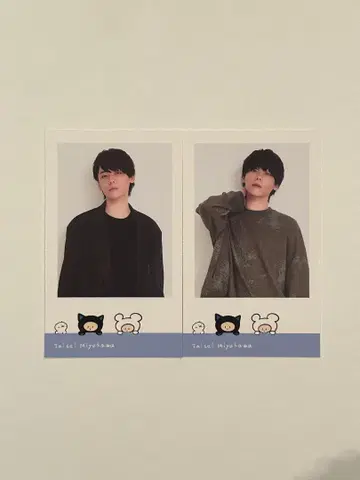 미야카와 다이세이 포토 카드 2장 세트