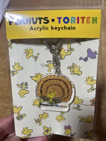 특별전 새 우드스탁 스누피 키링 한정판