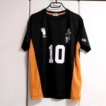 시마무라 하이큐 룸웨어 티셔츠 카라스노 고교 히나타 쇼요 등번호 10 L