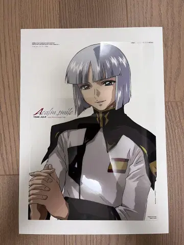 건담 SEED DESTINY 이자크 사진 컬렉션