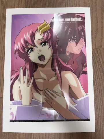 건담 SEED DESTINY 키라 락스 사진 컬렉션