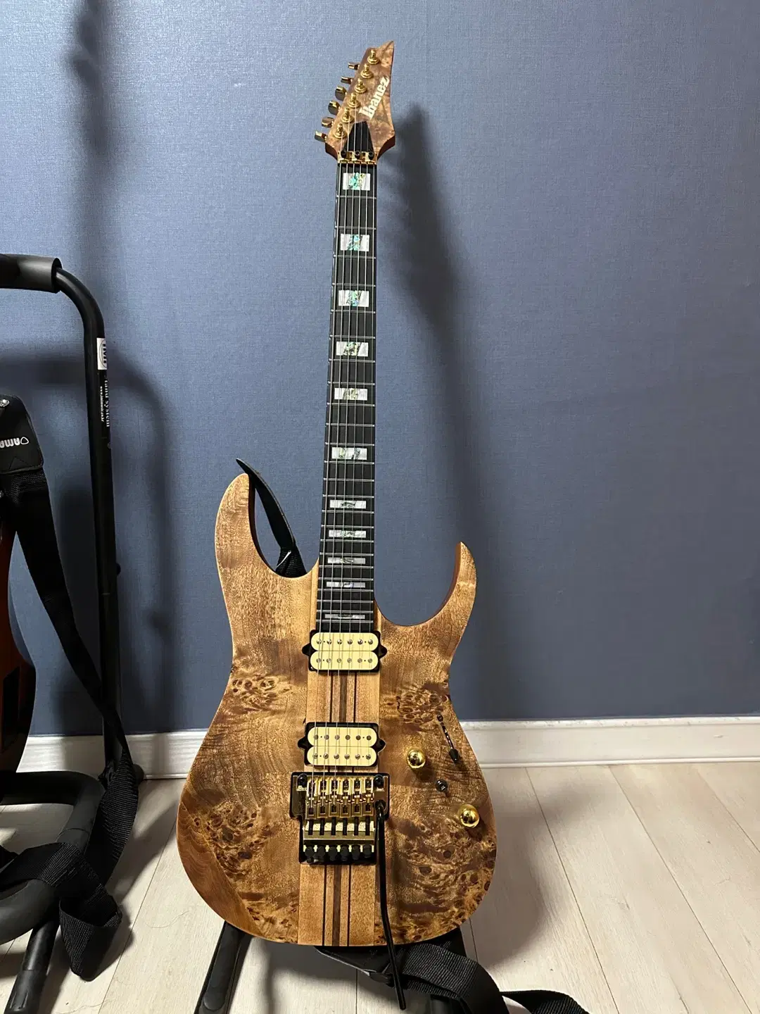 Ibanez RGT1220PB.