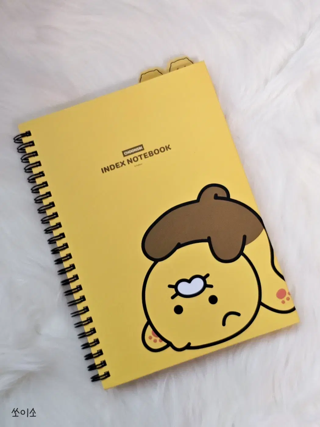 춘식이 인덱스 노트