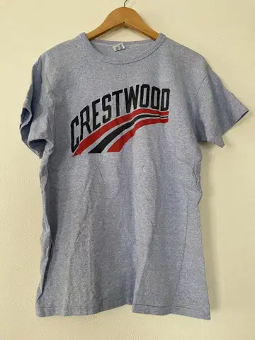 80s 챔피온 트리코 태그 티셔츠 L 미국제 crestwood