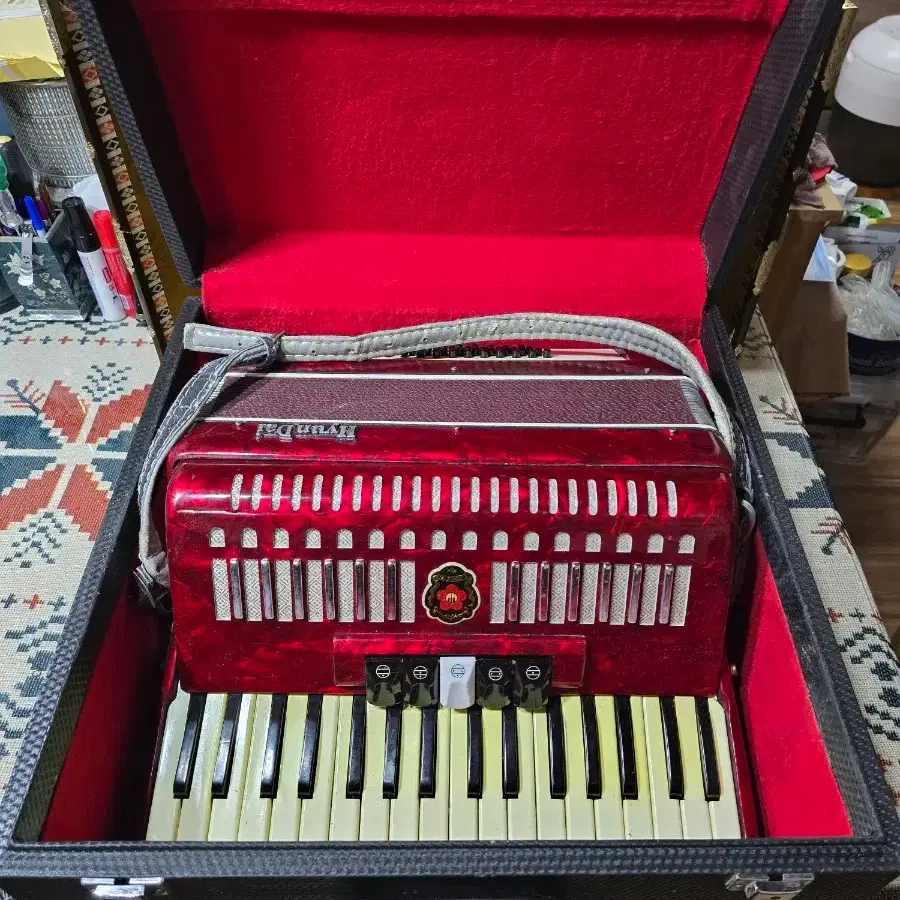 Vintage Hyundai Accordion | Bunjang Global