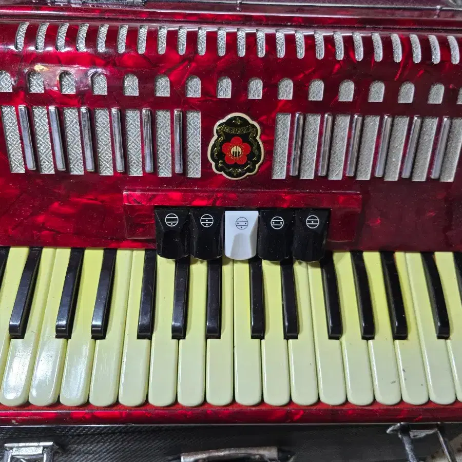 Vintage Hyundai Accordion | Bunjang Global