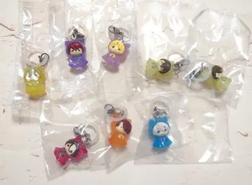 마법사의 약속 메지루시 액세서리 마호야쿠 카인 미스라 미치루