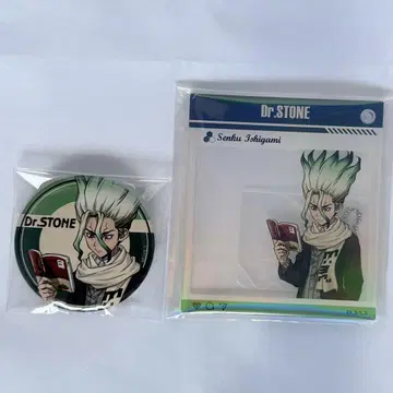 Dr.STONE 닥터 스톤 이시가미 치쿠루 캔뱃지 겨울의 만남