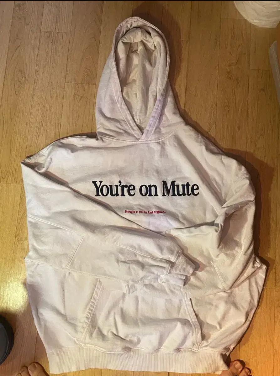 Axel Arigato Hoodie