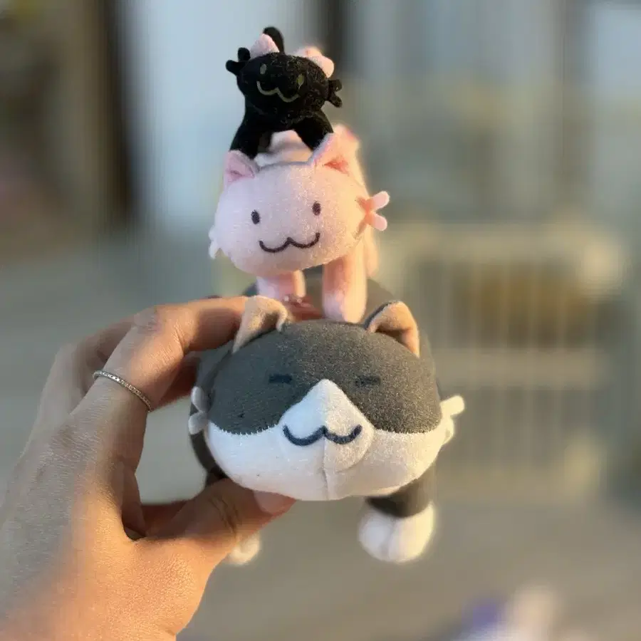 Tsumineko doll on Bunjang Global Site.