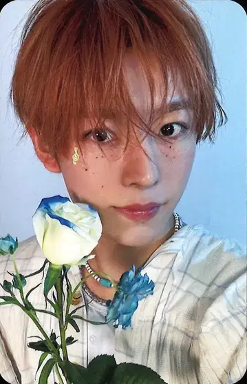 NCT WISH YUSHI Songbird 트레이딩 카드