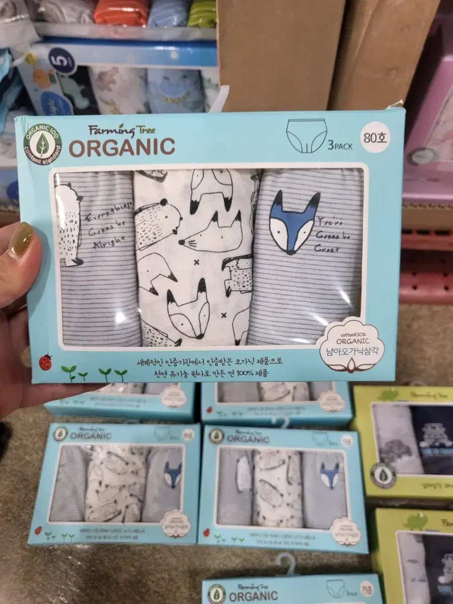Triangle Panties 1 Set of 5