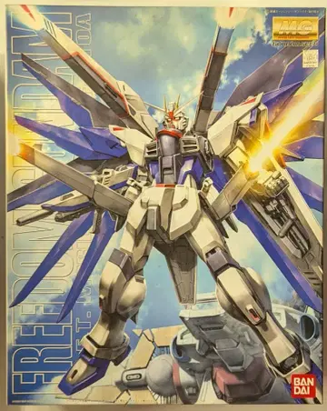 반다이 MG 1/100 기동전사 건담 SEED 프리덤 건담
