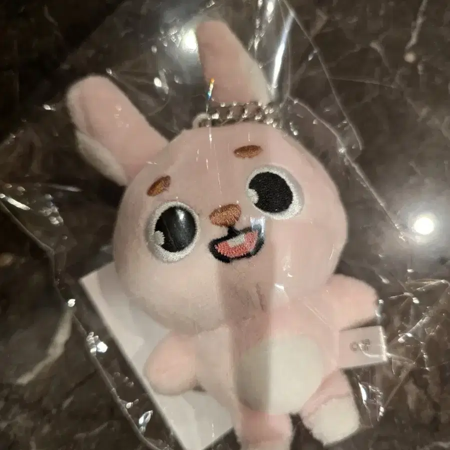 DAY6 | 데이식스 DAY6 Japan Concert Forever Young Goods