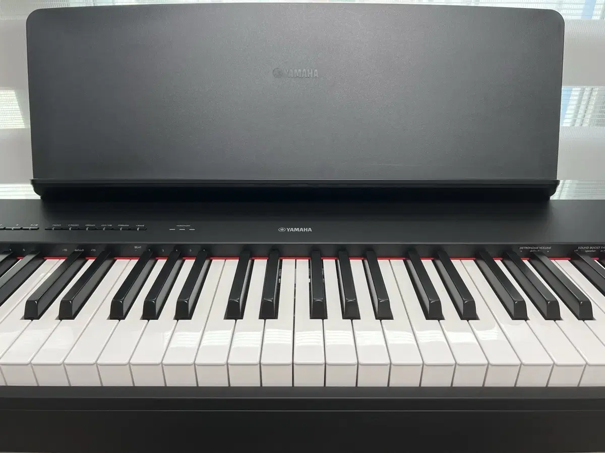 Yamaha P225 Digital Piano