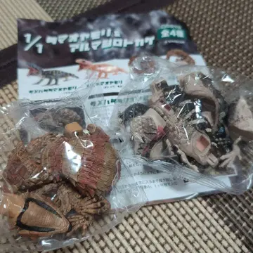 타마오야모리 아르마딜로 도마뱀 가챠