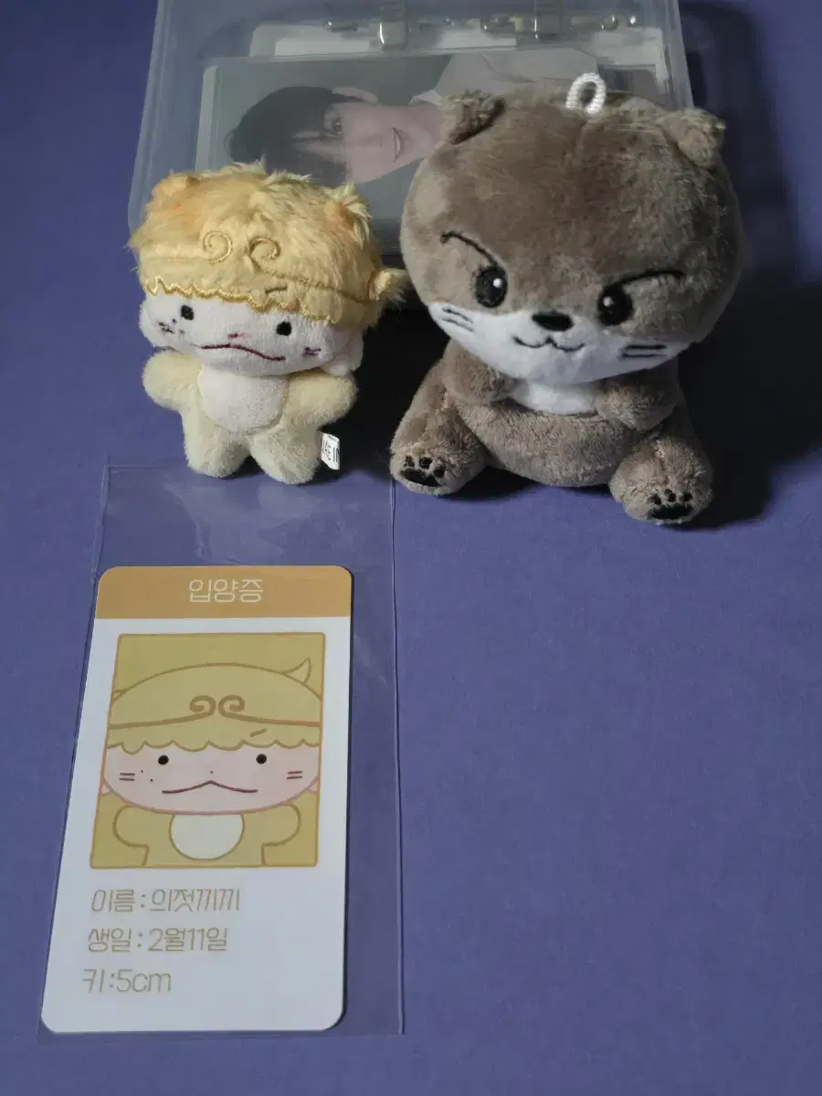 세븐틴 디노 인형 의젓끼끼.찬달이 양도합니다