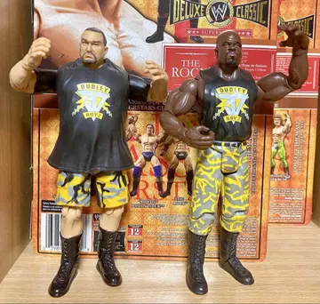 WWE 더 대들리 보이즈