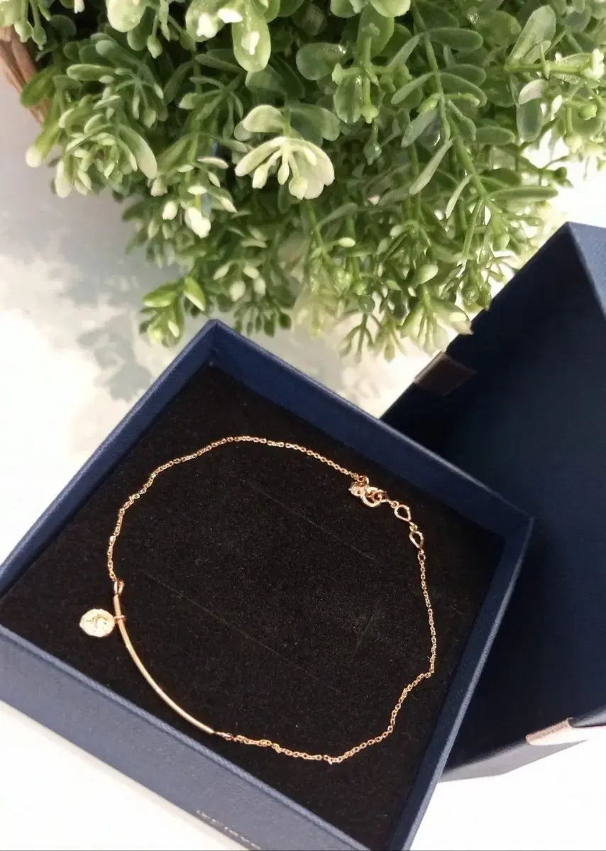 Coin Bar Gold Anklet 14K Pink Gold
