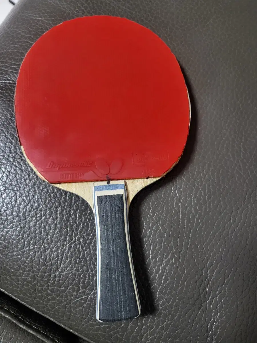 Table Tennis Racket ~ Viscaria Same Structure