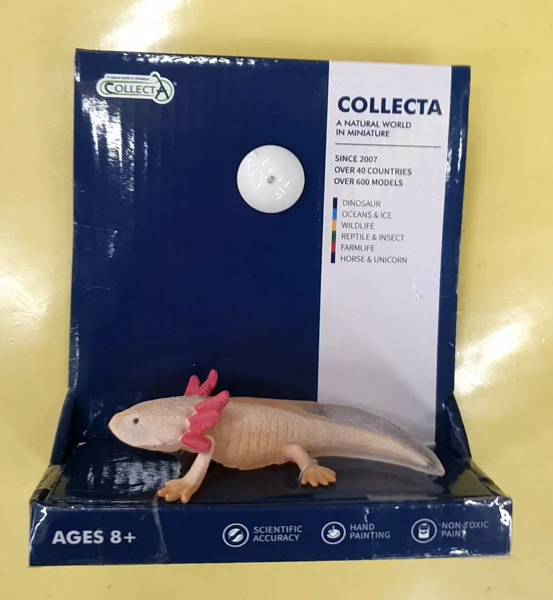 Axolotl figure sealed new product animal toy CollectA vahn-open goods