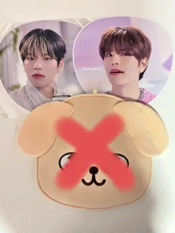 Stray Kids 승민 부채 퍼핌