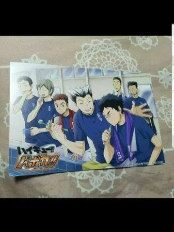 하이큐 보쿠토 코타로 아카아시 쿄지 키노하 엽서 점프샵 바보카