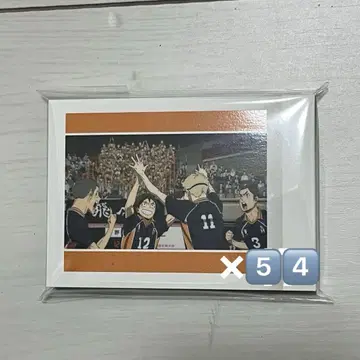 하이큐 파샤코레 쓰레기장 결전 vol.2 츠키시마 케이