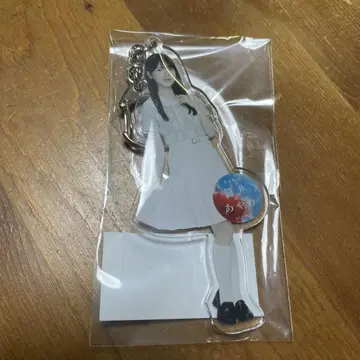 츠츠이 아야메 치트 데이 아크릴 키링