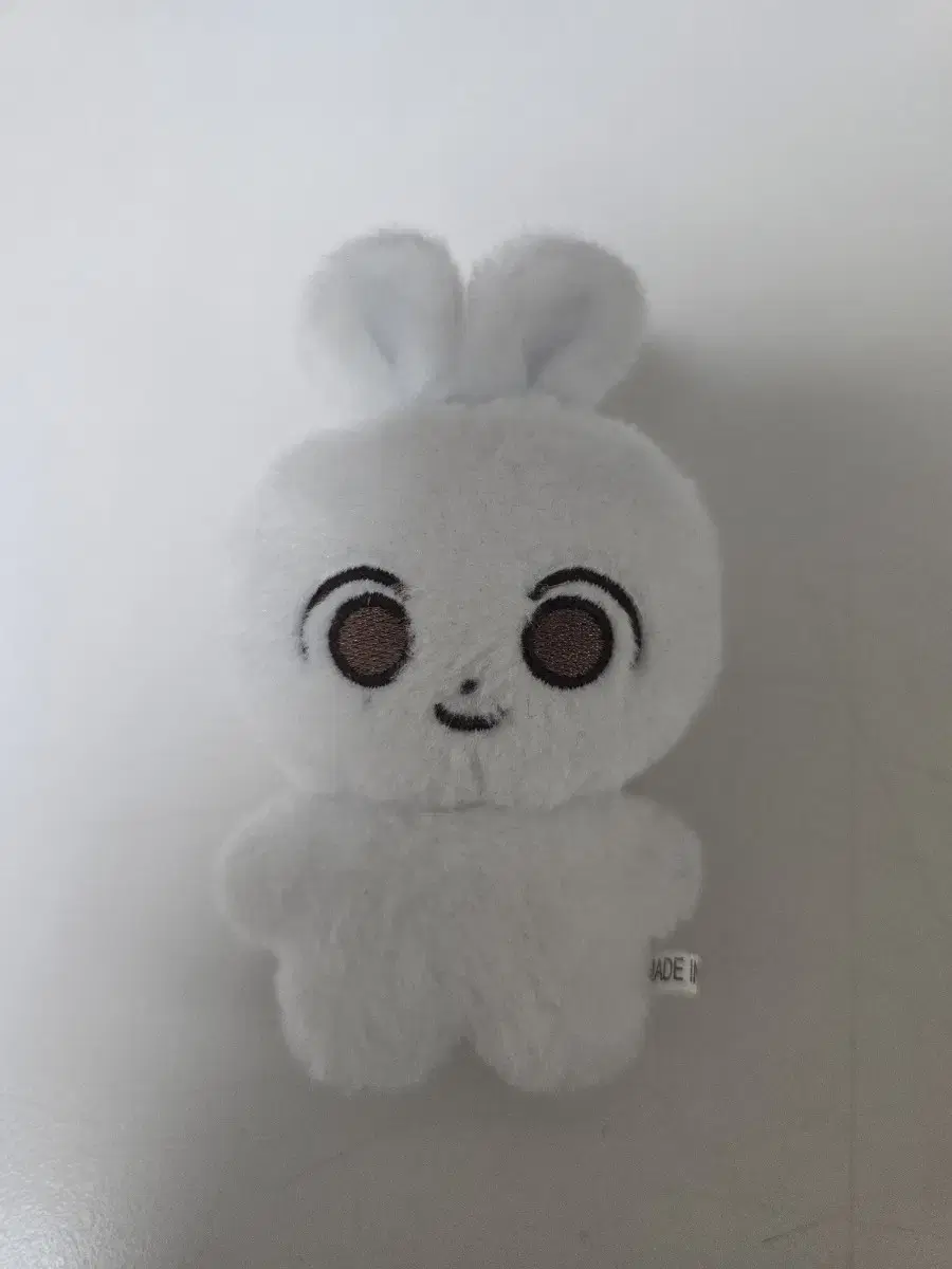 WTS Jjongmochi