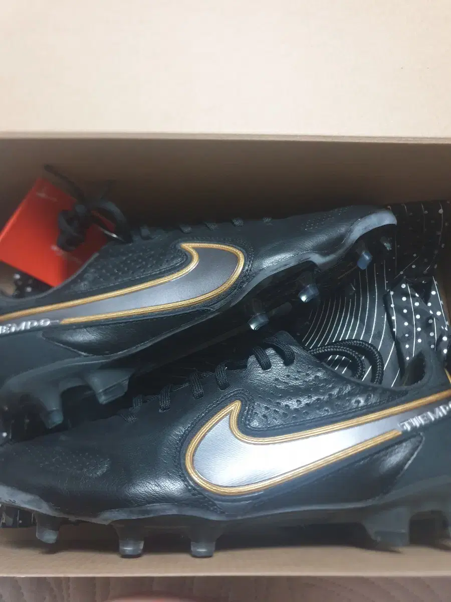 250 Nike Tiempo 10 Elite FG Top Soccer Shoes