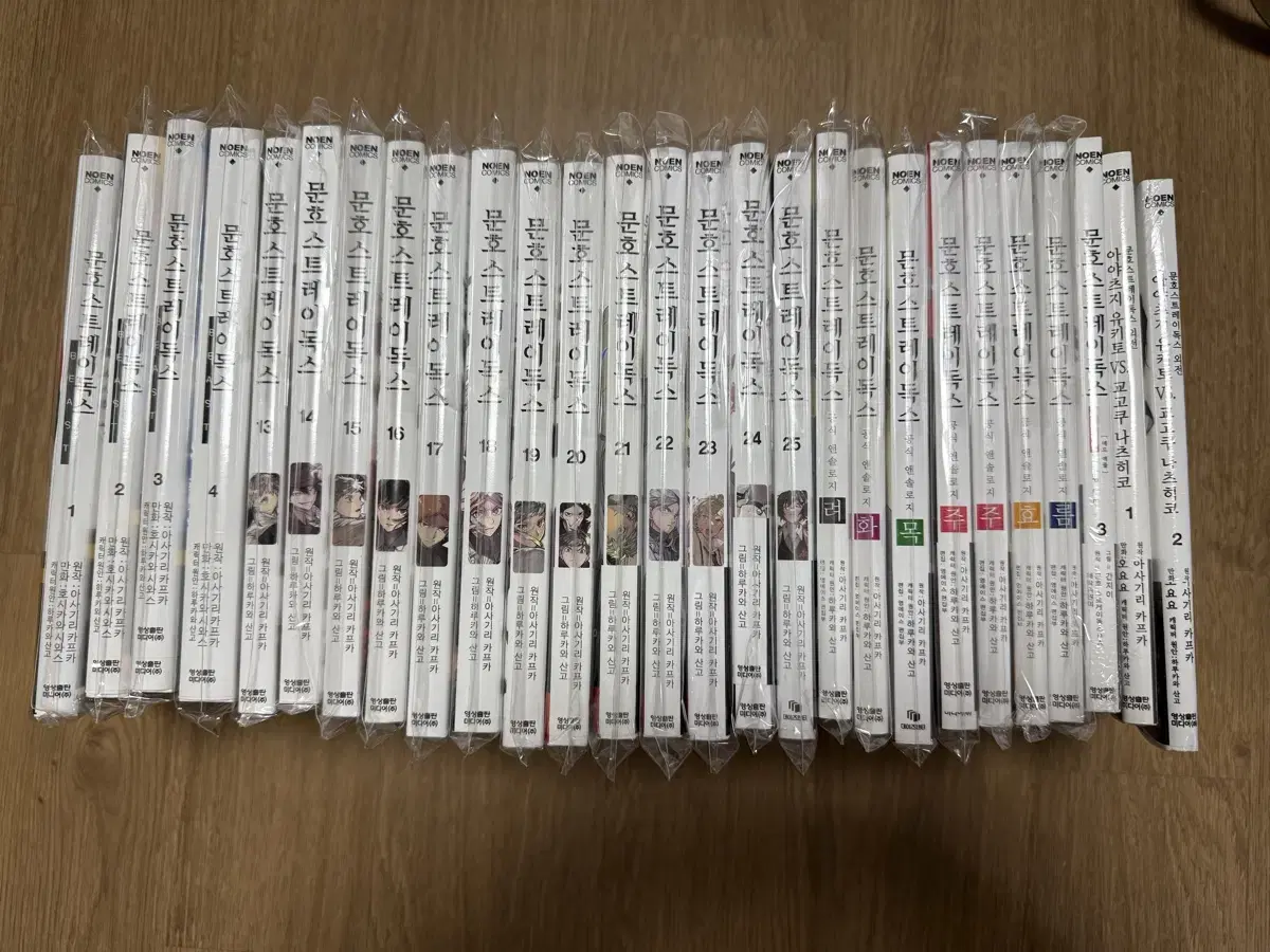 [~6/15 Quick sale] Bungo Stray Dogs Manga (Individual X, Check contents)