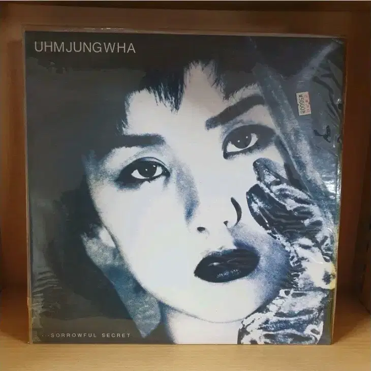 K-POP・アジア UHM JUNGHWA SORROWFUL SECRET 엄정화 [Uhm Jung Hwa] - Sorrowful Secret - Reviews - Album