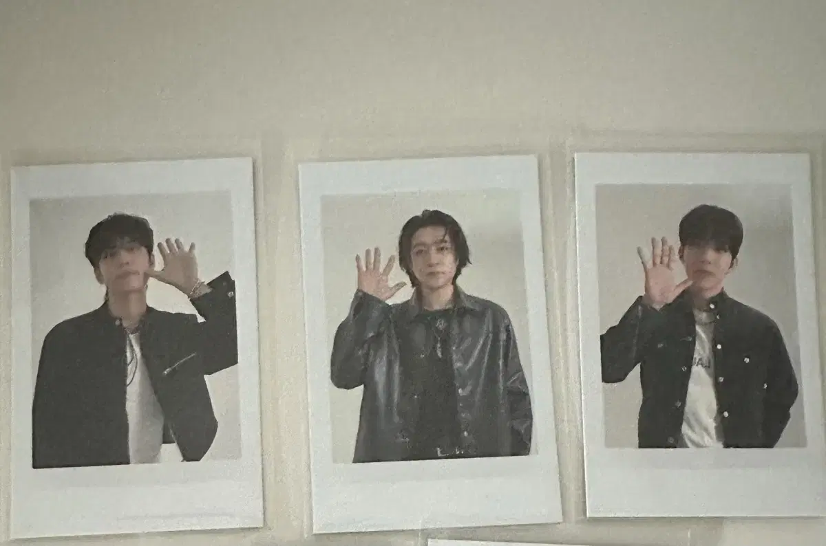 데이식스 앙콘 md 포카