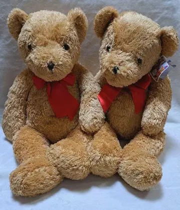 BUDDY The Teddy Bear 테디베어 봉제 인형 2개 세트