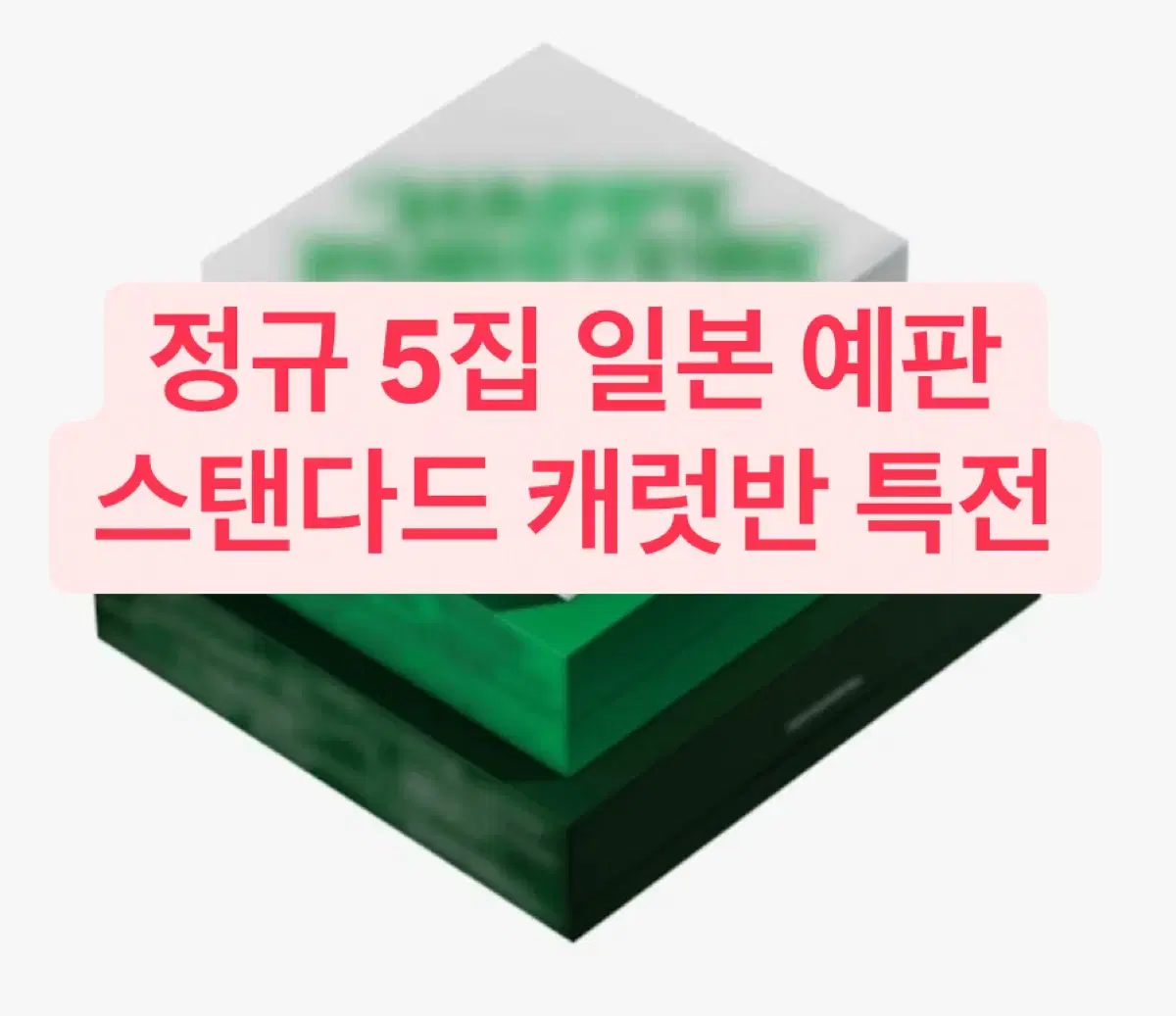 세븐틴 SVT 정규5집 일본 예판 스탠다드 캐럿반 특전 분철