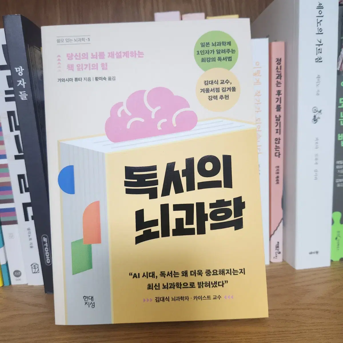 (Free Shipping) The Neuroscience of Reading
