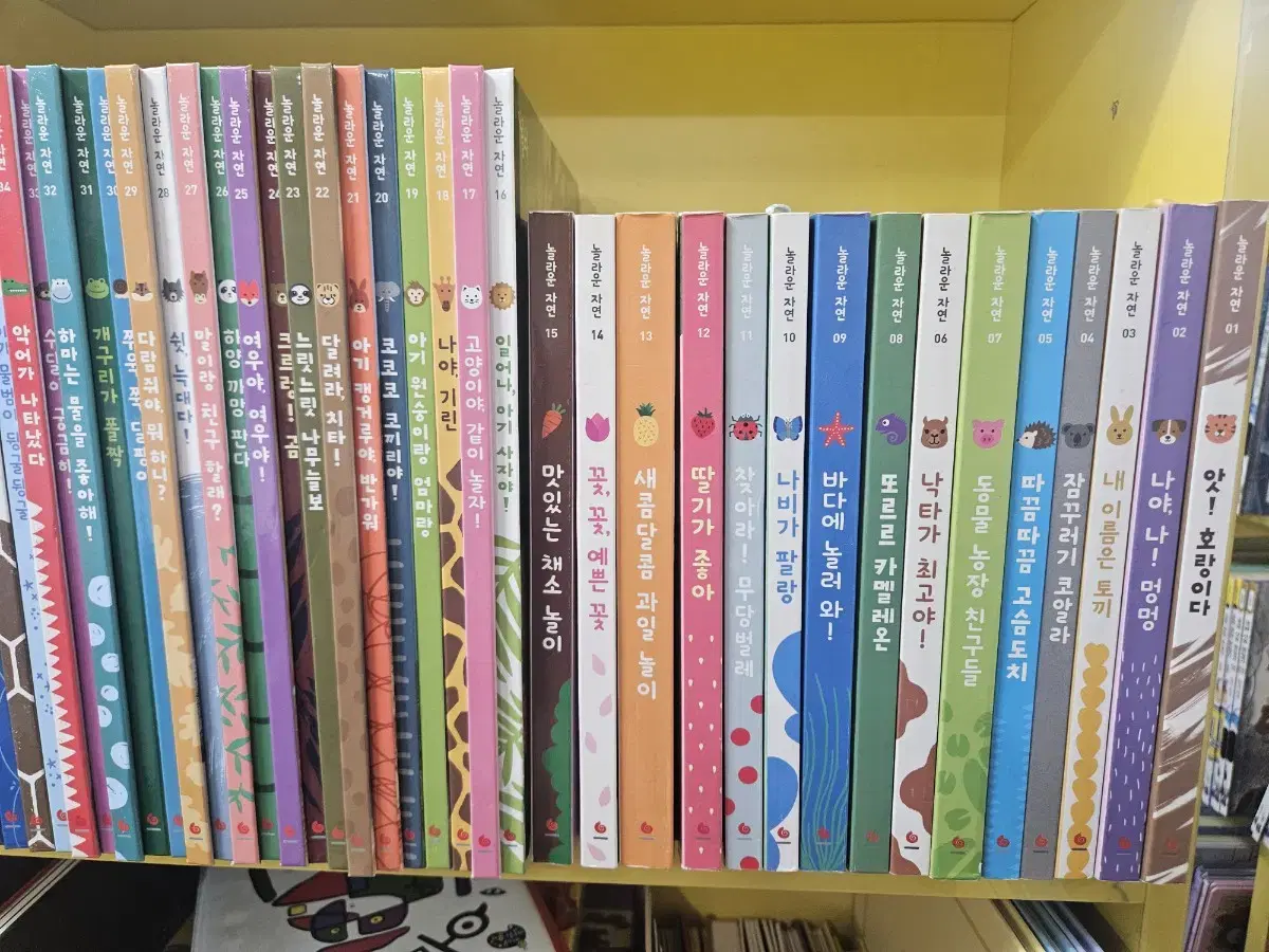 놀라운자연